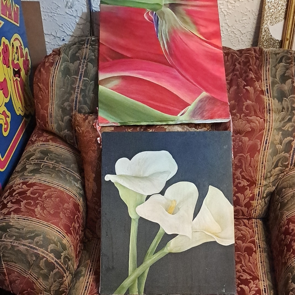 Floral Canvas Art Hand Painted Set Each 16x20